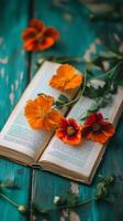 Flowers pressed into bookmarks between pages, wallpaper photo