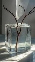 Glass cube with submerged stems on a coffee table, wallpaper photo