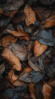 Hickory leaves layer woodland trails, creating a natural blanket through forests, photorealistic photo