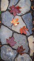 Maple leaves scatter across stone paths in garden spaces, photorealistic photo