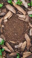 Mulch layer surrounding flower stems in a circular bed formation, photorealistic photo
