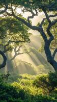 Oak branches cast shadows on forest floors through mist, photorealistic photo