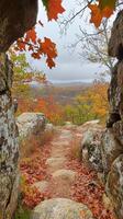 Sassafras branches frame garden paths, adding depth beside weathered rock walls, photorealistic photo