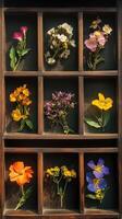 Botanicals arranged in a grid pattern inside shadow boxes, photorealistic wallpaper photo