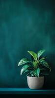 Chinese evergreen in a concrete pot on a bookshelf ledge, photorealistic wallpaper photo