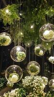 Clusters hanging from the ceiling in glass globes, wallpaper art photo