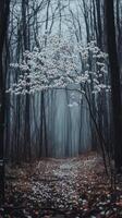 Dogwood branches extend over woodland trails in mountain forests, photorealistic wallpaper photo