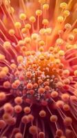 Flower pistils extending from center of bloom structure, wallpaper art photo