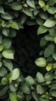 Leaf shapes creating border design in sequence, photorealistic wallpaper photo