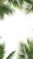 Palm fronds extending from a central point of growth, photorealistic wallpaper photo