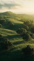 Grassland dotted with trees stretching toward distant ridgeline , photorealistic photo