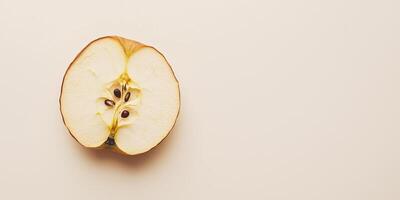 Single dried apple slice centered on a plain background, food setting photo