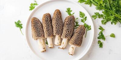 Morel mushrooms placed in a row on a white plate with fresh herbs, food setting photo