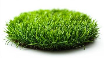 A vibrant patch of green grass showcases its rich color under bright daylight, symbolizing growth and nature. photo