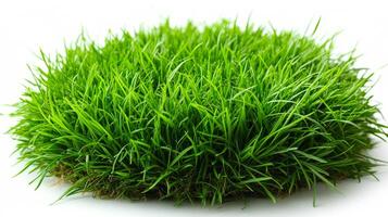 A vibrant patch of healthy grass displaying rich green colors, showcasing its natural texture and growth. photo