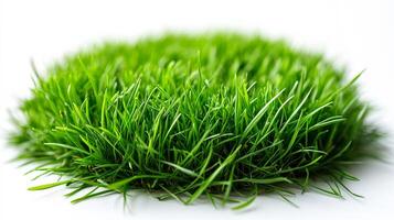 Lush green grass is neatly arranged in a circular shape, showcasing vibrant blades swaying gently in the light. photo