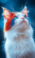 A cat with blue and red paint on its face is looking up at the camera. The cat's fur is white and red, and it has a blue nose. The image has a playful and whimsical mood photo