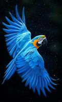 A blue and yellow parrot is flying in the air. The bird is the main focus of the image, and its wingspan is quite impressive. The blue and yellow colors of the bird create a sense of vibrancy photo