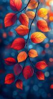A branch with red and orange leaves is hanging from a tree. The leaves are wet and shiny, and the branch is surrounded by a blue sky. Concept of tranquility and beauty photo