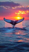 A whale tail is seen in the water with the sun setting in the background. Concept of tranquility and beauty as the whale gracefully swims through the ocean photo
