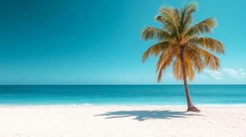 Palm tree on a serene beach under blue sky. A lone palm tree on a serene beach watches over calm turquoise waters and a clear blue sky with soft clouds. photo