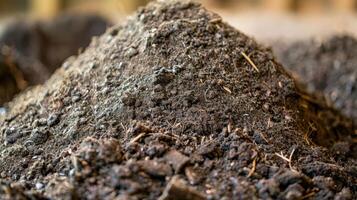A close-up of a mound of dark, rich soil, indicating a natural composting process. photo