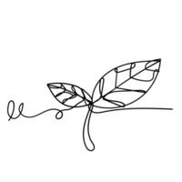 a line drawing of a leaf vector