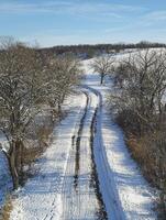 Serene Winter Landscape with Snow-Covered Pathway Winding Through Leafless Trees and Rolling Hills Under a Clear Blue Sky photo