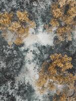 Aerial View of Autumn Forest Landscape with Vibrant Orange Foliage and Intricate Patterns of White and Green Trees Surrounded by Tranquil Natural Scenery photo