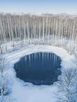 Tranquil Winter Scene of a Frozen Pond Surrounded by Snow-Covered Trees in a Serene Landscape Retreating into the Horizon on a Clear Day photo