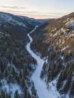 Serene Aerial View of a Winding Frozen Road Through Majestic Snow-Covered Pine Forests in a Remote Mountain Valley Under a Soft Winter Sunrise photo