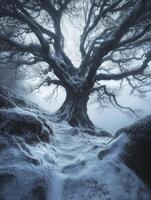 Majestic Winter Tree in Snowy Landscape with Barren Branches and Mysterious Atmosphere Creating a Sense of Serenity and Natural Beauty photo