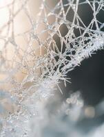 Intricate Ice Crystal Patterns Reflecting Light in a Frosty Atmosphere, Capturing the Beauty of Nature and Cold Weather Phenomena photo