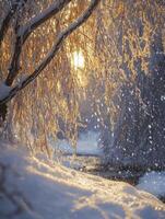 Stunning Winter Landscape with Frosty Branches and Golden Sunset Reflecting on Snowy Ground Near a Quiet Stream in a Serene Nature Setting photo
