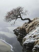 A solitary tree clinging to the edge of a rocky cliff in a misty landscape, showcasing resilience and beauty of nature in a tranquil environment. photo