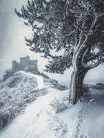 Serene Winter Landscape Featuring Snow-Covered Pathway Leading to Ancient Castle Surrounded by Frosted Trees and Gentle Snowfall in a Dreamy Atmosphere photo