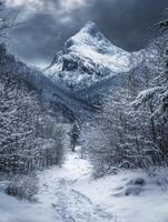 Serene Winter Landscape Featuring Majestic Snow-Capped Mountain Peak with Dramatic Skies and Snow-Blanketed Forest Path in a Tranquil Natural Setting photo