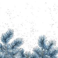 Blue Pine Branches with Silver Decorations and Scattered Snow in a White Background, Ideal for Holiday or Seasonal Messaging and Text Placement photo