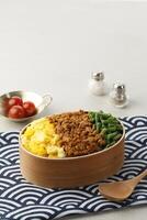 Sanshoku Lunch Box, Three Color Japanese Rice Lunchbox photo