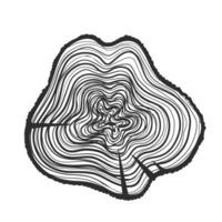 Hand drawn Wood stump with cracks and annual tree rings. Wooden texture on circle slab. Tree trunk top view. sketch isolated on white background. Monochrome black and white drawing. vector