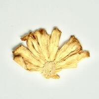 One piece of dry sliced yellow pineapple fruit isolated on square white background from above angle view. photo