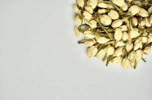 Pile of dried jasmine flower buds for aromatheraphy and tea ingredients isolated on horizontal copy spaced plain background. photo