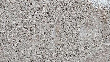 a close up of a wall with white paint photo