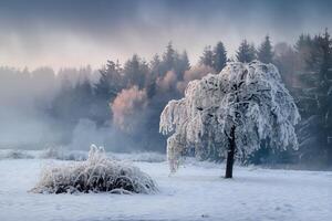 Snow laden tree stands against a misty backdrop, exuding calmness photo