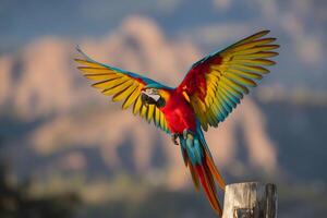 Macaw mid flight, vivid red, yellow, blue hues on blurred background photo