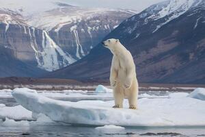 Polar bear stands upright on an ice chunk, looking over snowy mountains photo
