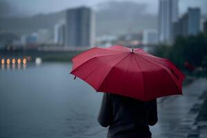 Person holds a red umbrella near a body of water in the rain, serene mood photo