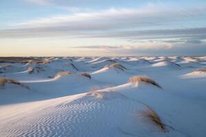 Snow covered dunes stretch to the horizon with light and shadow playing across photo