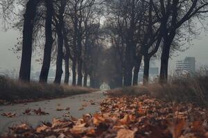 Pathway lined with leafless trees, overcast sky adds somber autumn atmosphere photo