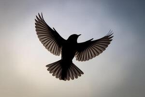 Bird mid flight silhouette, wings spread wide, dynamic pose against gradient background photo